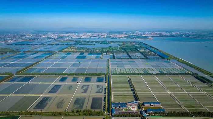 航拍高淳固城湖螃蟹核心區(qū)。高淳區(qū)融媒體中心供圖